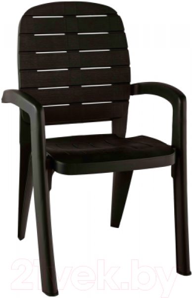 Стул пластиковый Прованс 58x46.5x90