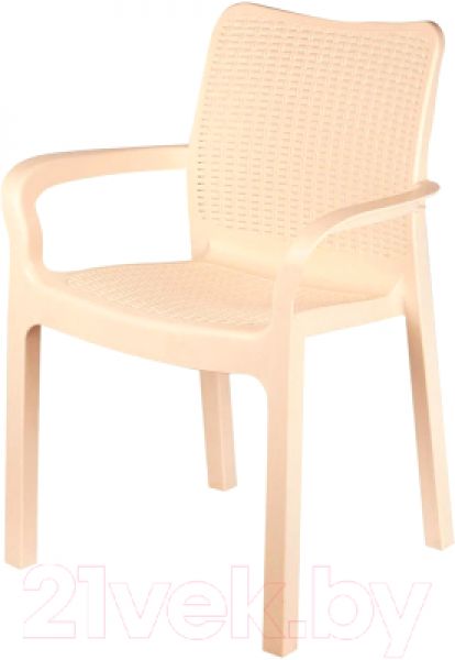 Стул пластиковый Rattan / ING6182СЛВ